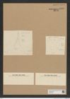Diatomeae indet. Zeichnungen Sammlung Grunow Nr. 6893 (NHMW-BOT-W0375758)